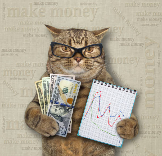 istock Cat holds notebook and money 2 1199917132