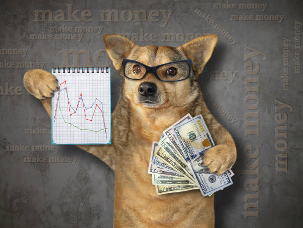 istock Dog holds notebook and money 2 1199917138