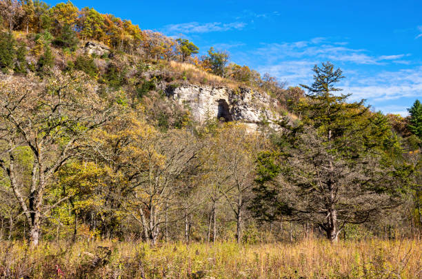 istock Bluffs prairie and forest at whitewater state park 1199917814