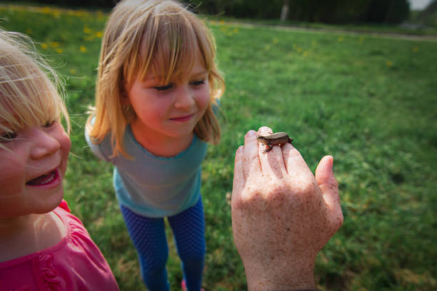 istock kids learning - kids looking at and exploring lizard in nature 1199920407