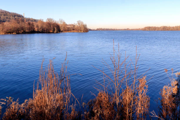 istock A nature reserve in Holland 1199920784