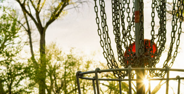 un putter da golf su disco in un cestino da golf a disco in un'area / parco sull'albero al tramonto - golf putting determination focus foto e immagini stock