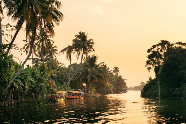istock Alleppey backwaters with local boat on sunrise 1199921608
