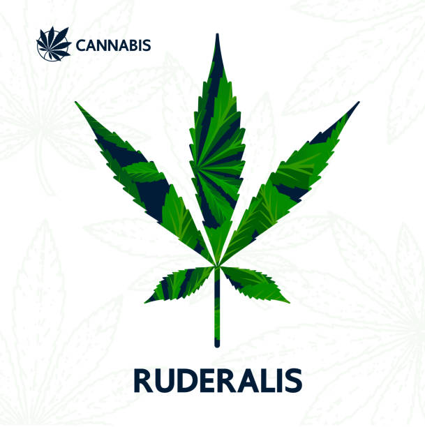 istock Cannabis sativa, indica and ruderalis leaves vector illustration. 1199923545