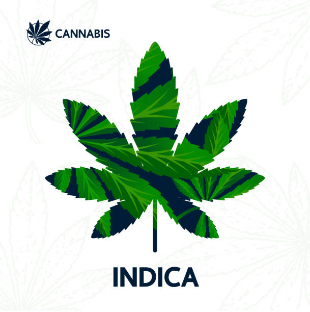 istock Cannabis sativa, indica and ruderalis leaves vector illustration. 1199923599