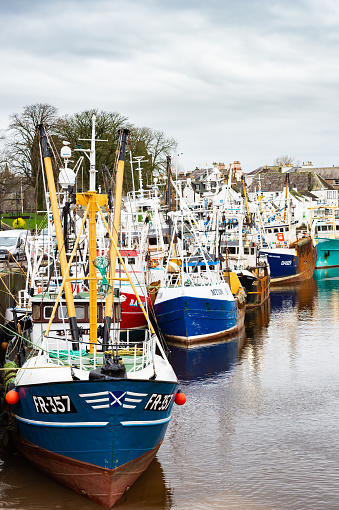 Kirkcudbright, Scotland, UK - January 16, 2020: Scallop dredging boats tied up in the harbour of the historic fishing port of Kirkcudbright in south west Scotland. A recent spell of bad weather with strong winds has meant the boats cannot go out and fish safely. Most of the boats will fish in the Irish Sea just off the Isle of Man before landing the catch of Queen Scallops and Scallops at the harbour. The seafood is then processed at a local factory before being sold in the UK and exported to mainland Europe. In the background members of the public, shops, houses and vehicles are also visible in the photograph.