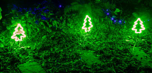 istock Outdoor garden Christmas lighting 1199926705
