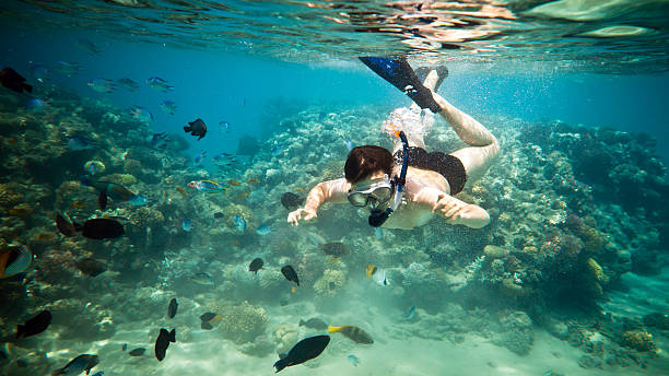 istock Snorkeler.  Red sea 119992736