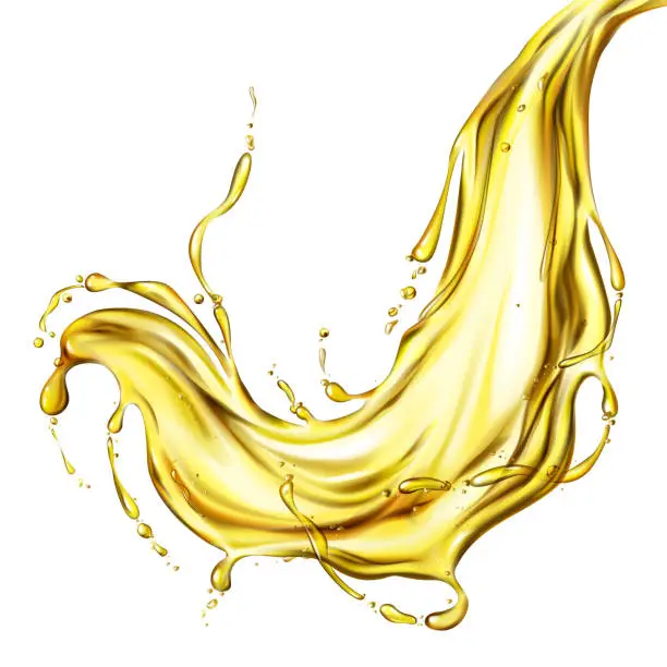 Vector illustration of Extra virgin vegetable oil splash realistic vector