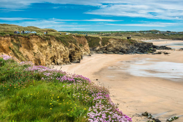 istock Godrevy Head at St. Ives Bay 1199932630