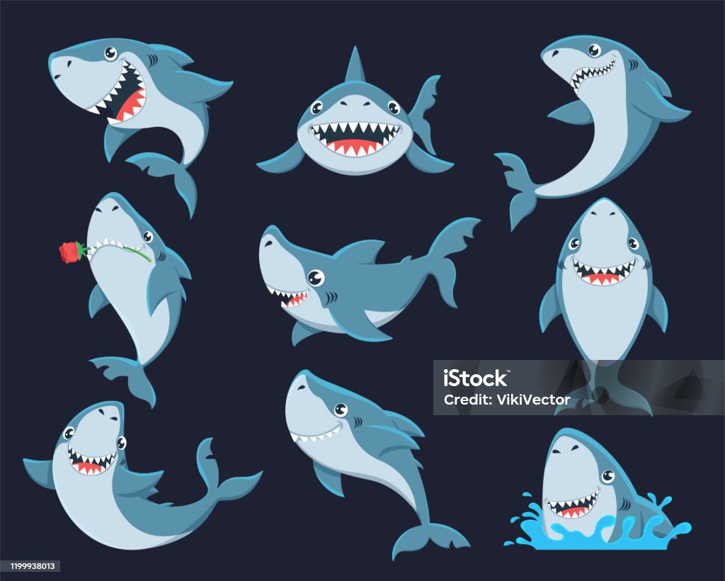 Cute Funny Shark Flat Vector Illustrations Set Stock Illustration -  Download Image Now - Shark, Cartoon, Clip Art - iStock