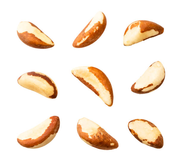 istock Set of Brazil nuts on top, close-up 1199942190