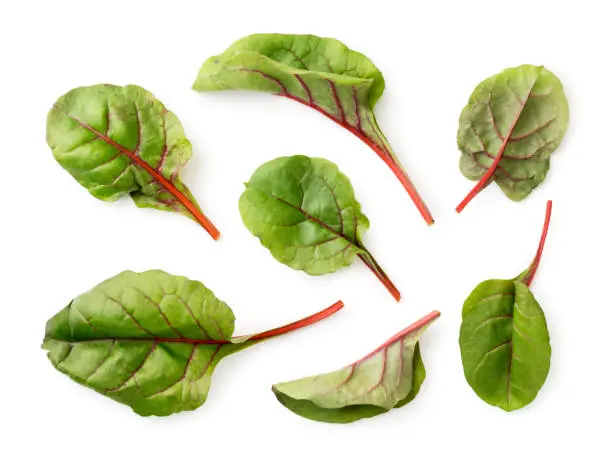 Beet leaves set in close-up on a white background. Isolated, top view