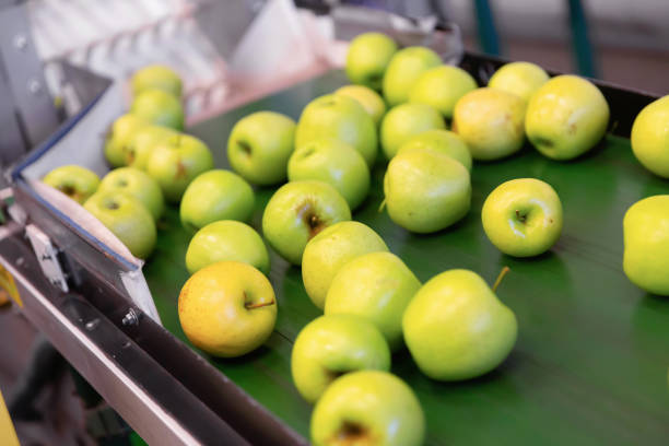 istock Fresh apples running on rolling conveyor of production line 1199942540