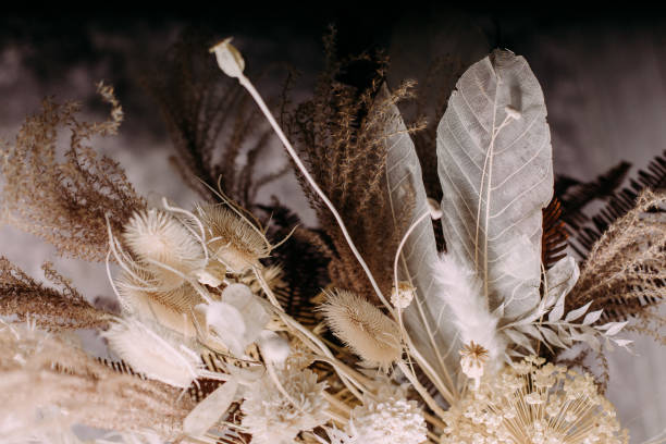 istock dead wood leaves feathers luxury decor floristry 1199943208