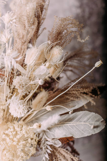 istock dead wood leaves feathers luxury decor floristry 1199943231