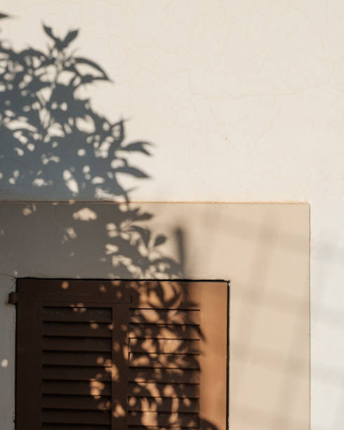 istock Beautiful shadows on the wall. Creative, minimal, styled concept for bloggers. 1199950952