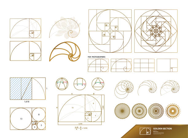 goldenes verhältnis für kreative design-vektor-illustration. - spiralmuster stock-grafiken, -clipart, -cartoons und -symbole