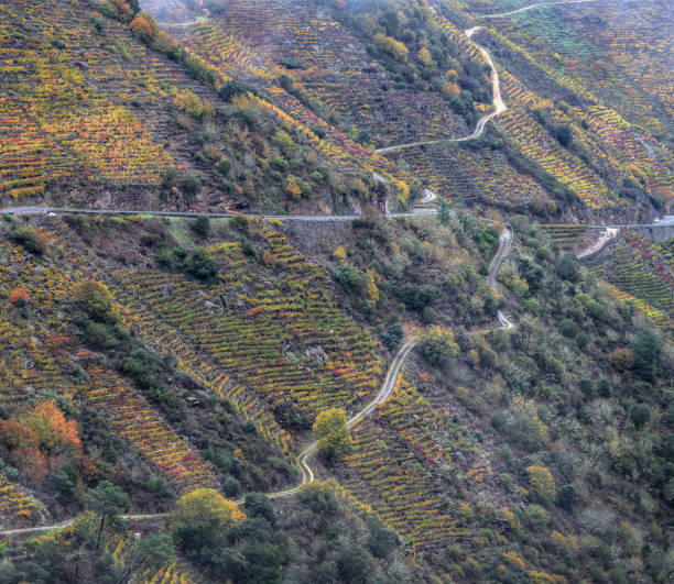 istock Precarious Agricultural Roads criscrossing Vineyards 1199952935