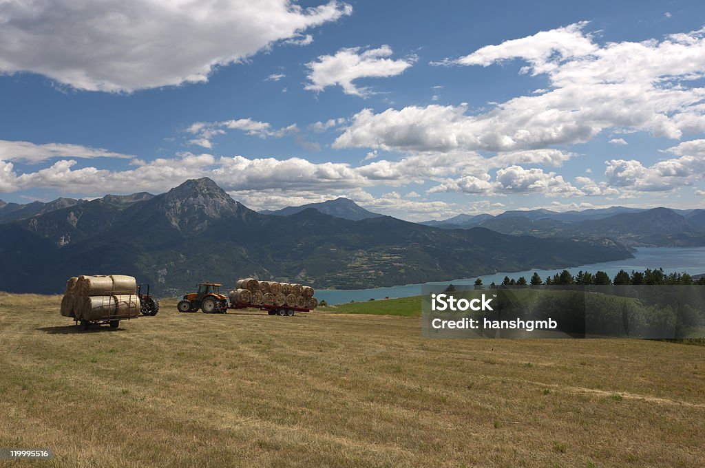 Or Harvest Harvesting hay bales in the French Alps. View over lake “Lac de Serre-Ponçon”. Agricultural Field Stock Photo