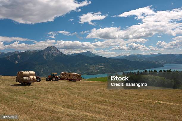 Or Harvest Stock Photo - Download Image Now - Agricultural Field, Agricultural Machinery, Agriculture