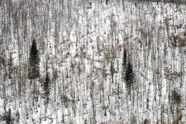 istock winter mountain landscape with snow 1199956545