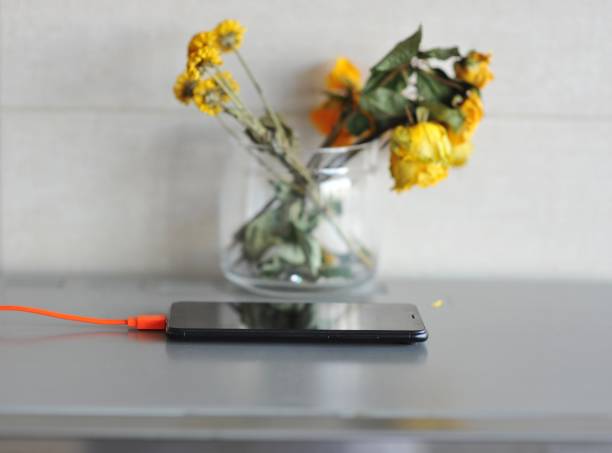 istock Phone charging with flowers on the background 1199958815
