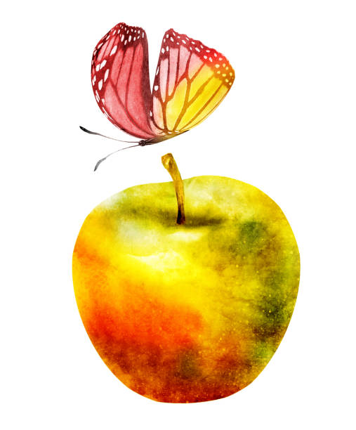 istock Watercolor apple and butterfly on white 1199960387