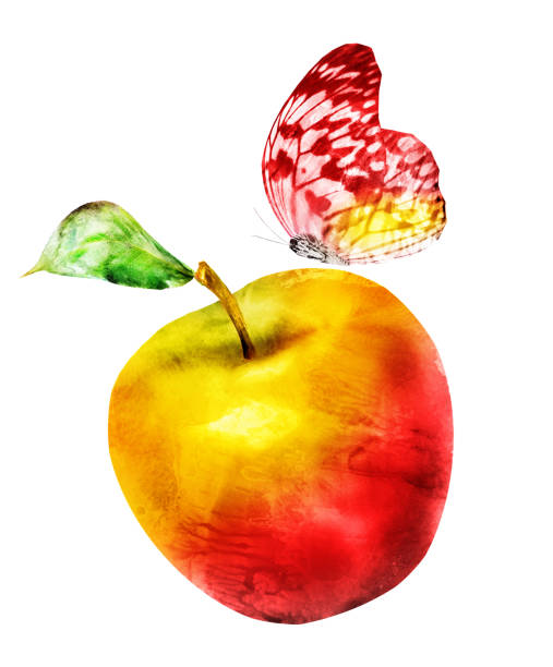 istock Watercolor apple and butterfly on white 1199960396