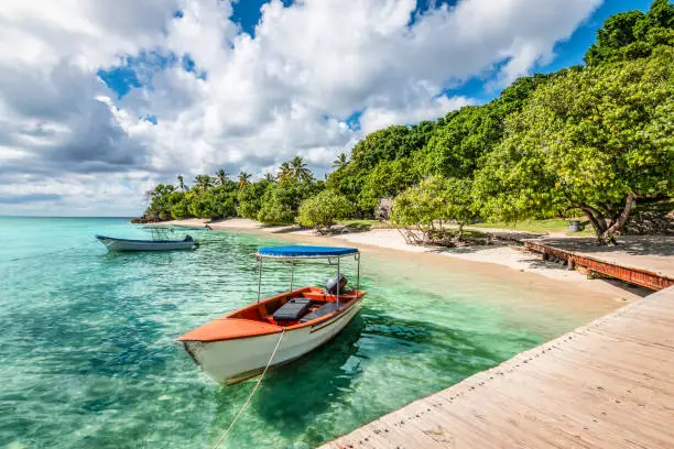 Vibrant image with two boats moored at the wooden  pier of the small islet of Cayo Levantado. Samana Bay, Dominican Republic. Green trees, coconut palm trees and white sandy beach along the coastline. Turquoise colored water.