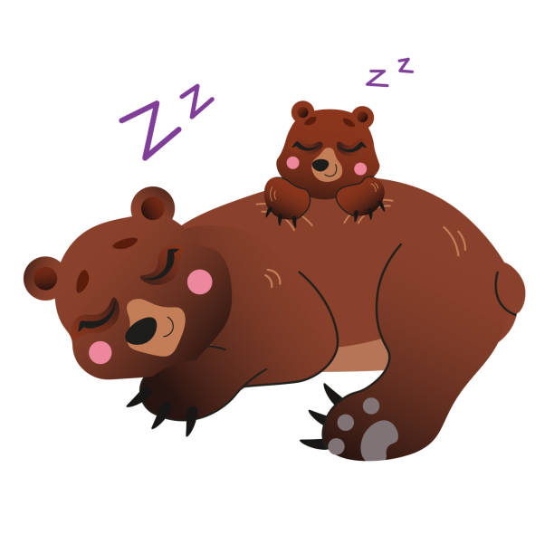 ilustrações de stock, clip art, desenhos animados e ícones de cute cartoon sleeping bears  vector image. bear mom with her cub. forest animals for kids. isolated on white background - cria