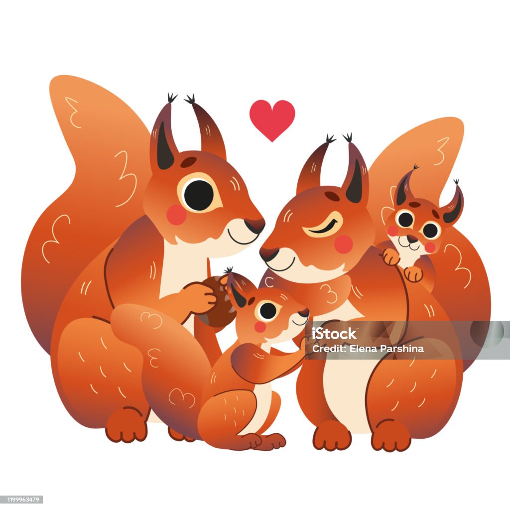 Cute Cartoon Squirrel Family Vector Image Male And Female Squirrels With  Their Pups Forest Animals For Kids Isolated On White Background Stock  Illustration - Download Image Now - iStock