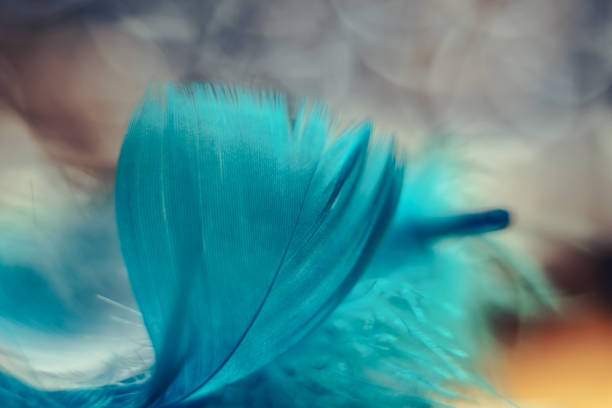 istock Close up Beautiful blue Bird feather pattern on a bokeh background for texture design. 1199964484
