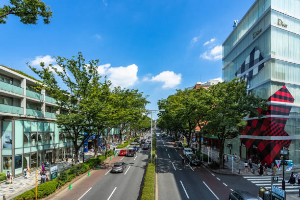 blick auf die omotesando straße mit vielen mode-luxus-shops entlang der straße gesäumt - omotesando hills stock-fotos und bilder