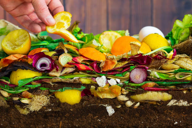 istock Male hand adding an orange peel to a compost heap 1199965568