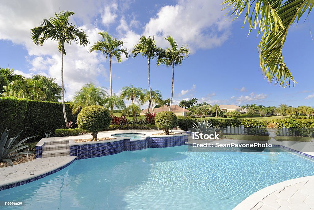 Luxury pool surrounded by palm trees A huge pool in Florida with clear blue water.  The pool offers smooth contours, a walkway leading to a nearby hot tub, and perfectly trimmed greenery.  Four tall palm trees can be seen behind the hot tub, and there are several more in the area.  White picket fences engulfed in shrubs surround the setting. Swimming Pool Stock Photo