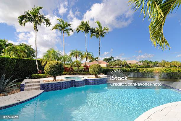 Luxury Pool Surrounded By Palm Trees Stock Photo - Download Image Now - Swimming Pool, Florida - US State, Residential Building