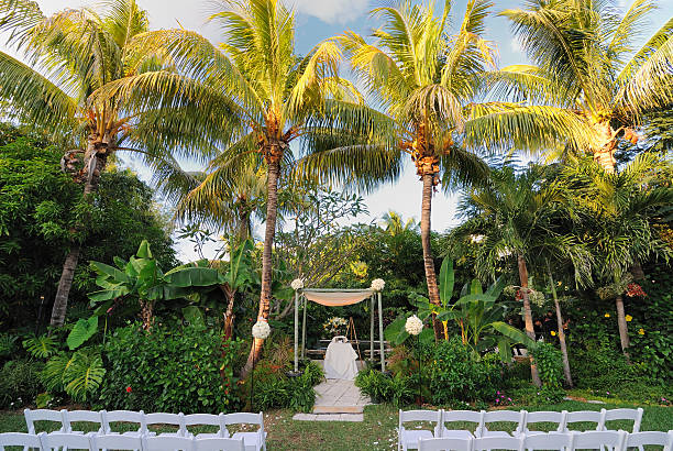 istock Tropical Outdoor Wedding 119996714