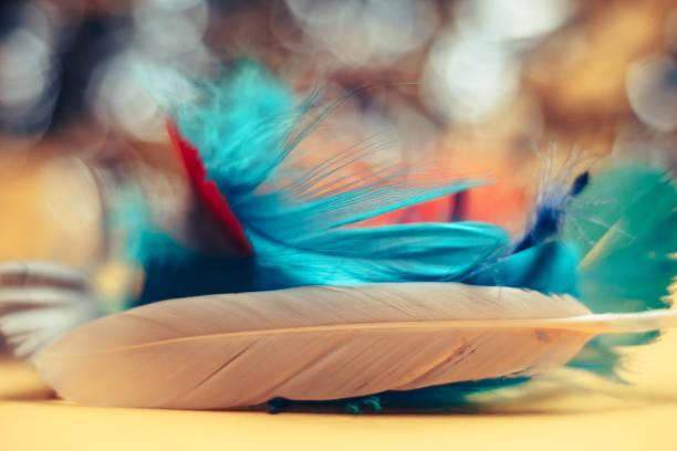 istock Close up Beautiful multi-colored Bird feather on a bokeh.  Pattern background for texture design. 1199967447