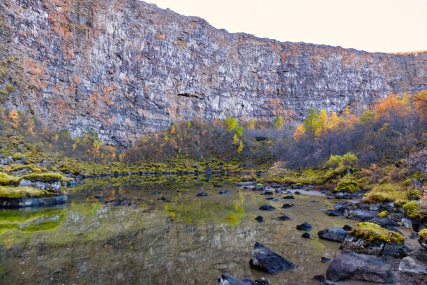istock Asbyrgi canyon in Northern Iceland 1199970423