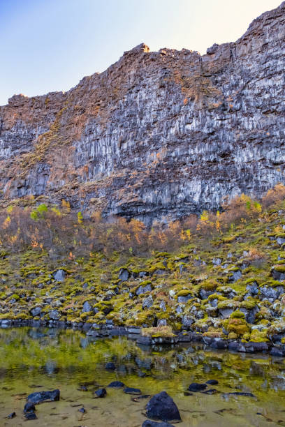 istock Asbyrgi canyon in Northern Iceland 1199970457