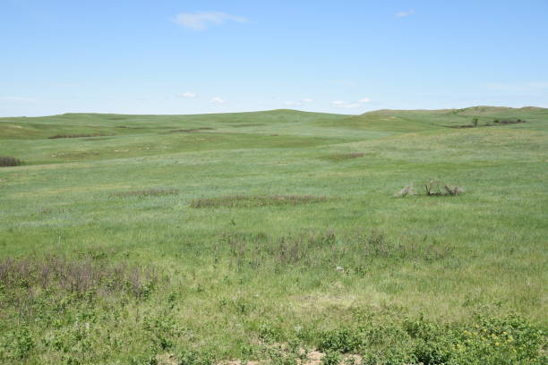 istock Grasslands at Theodore Roosevelt NP 1199976693