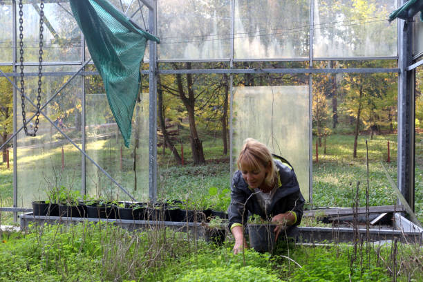 istock Happy woman is gardening on spring 1199977226