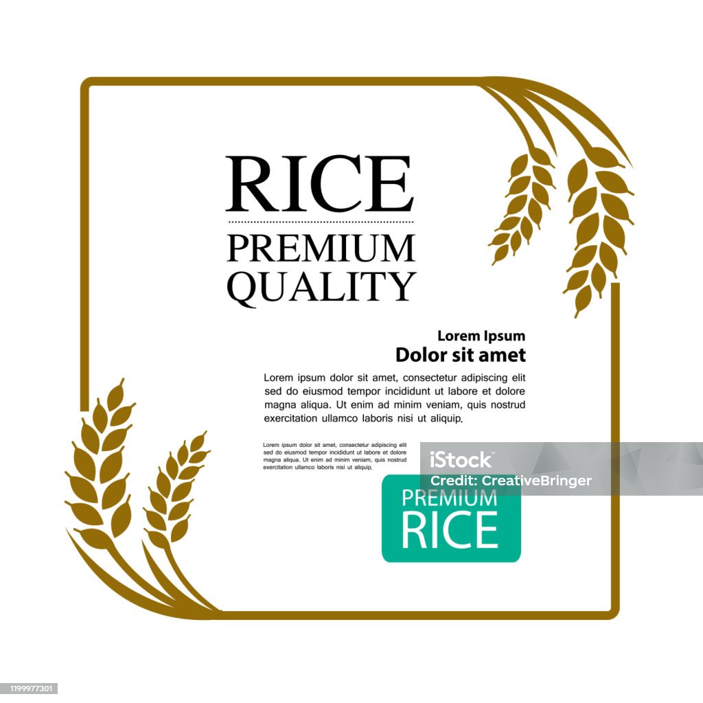 Premium Rice Labels Premium Rice Great Quality Design Concept Vector Stock Illustration ...
