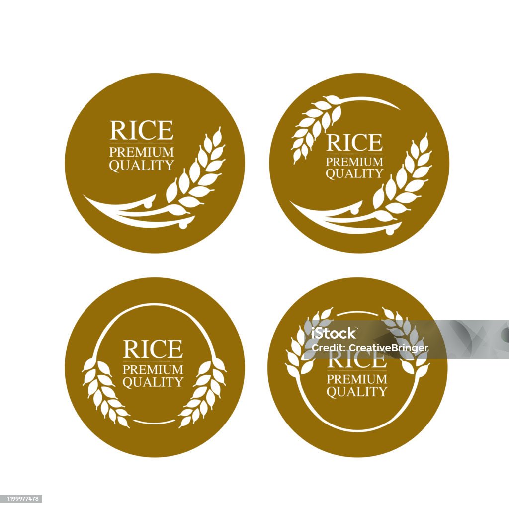 Premium Rice Example Premium Rice Great Quality Design Concept Vector Stock Illustration ...