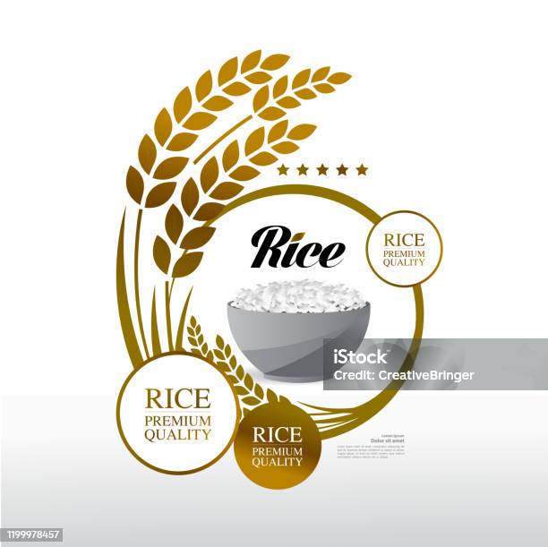 Premium Rice Vector Premium Rice Great Quality Design Concept Vector Stock Illustration ...