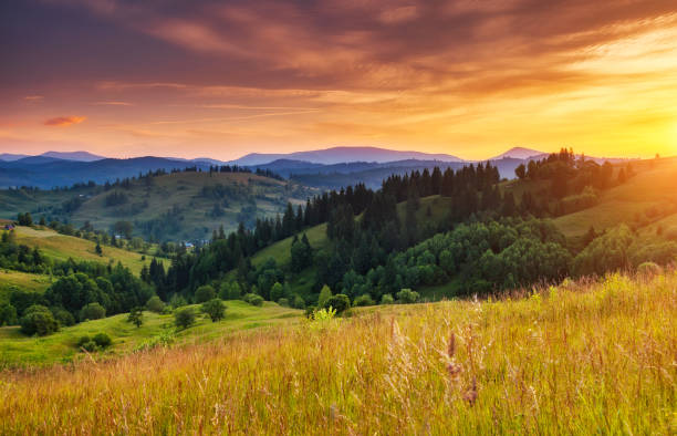 istock Beautiful green hills glowing by sunlight at twilight. 1199979923