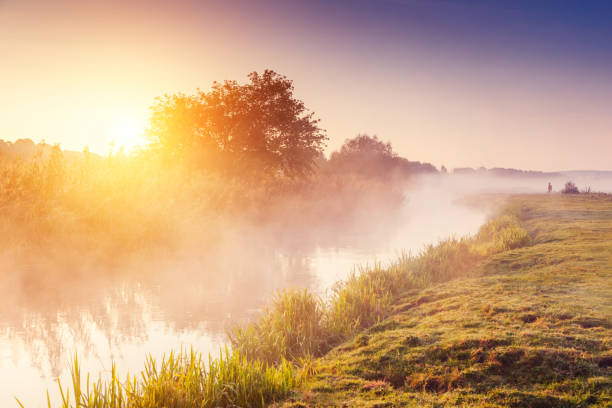 istock Fantastic foggy river with fresh green grass in the sunlight. 1199980022
