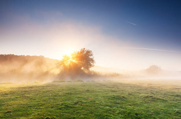 istock Fantastic foggy river with fresh green grass in the sunlight. 1199980041