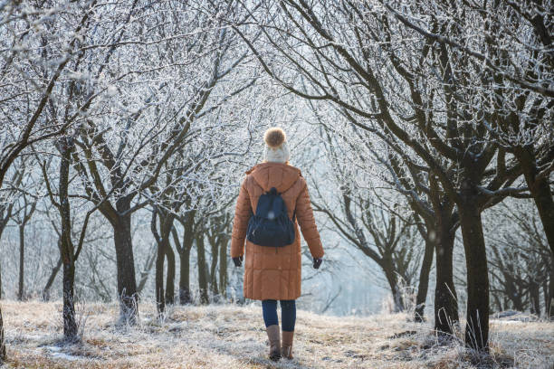 istock Hiking in winter nature 1199980973